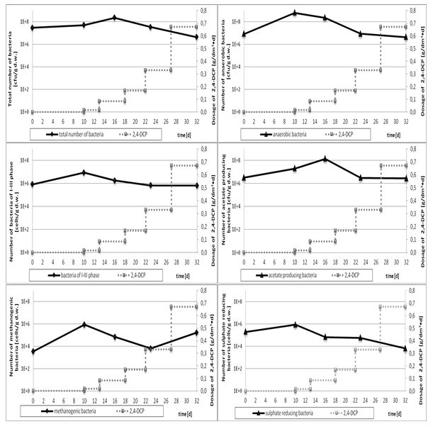 gjcee1007-figure4