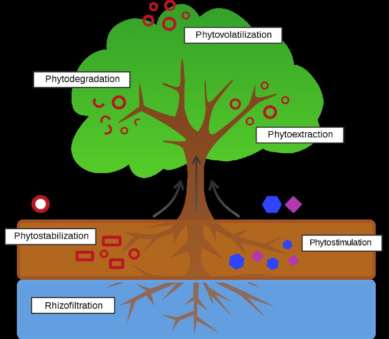 gjcee1006-figure1