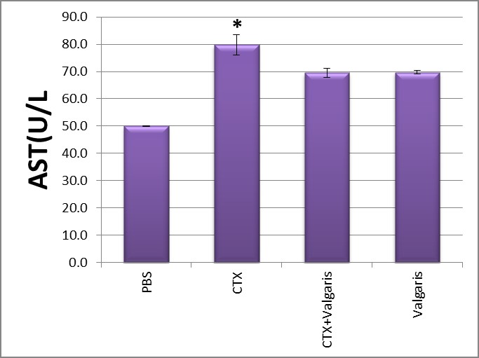 ijbm1022_figure3