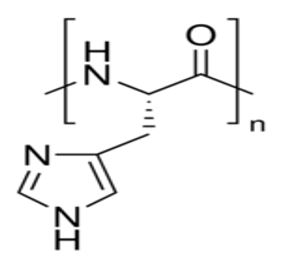 ijbm1023_figure10