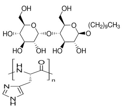 ijbm1023_figure11