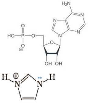 ijbm1023_figure12