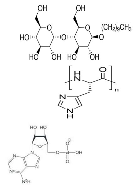 ijbm1023_figure14
