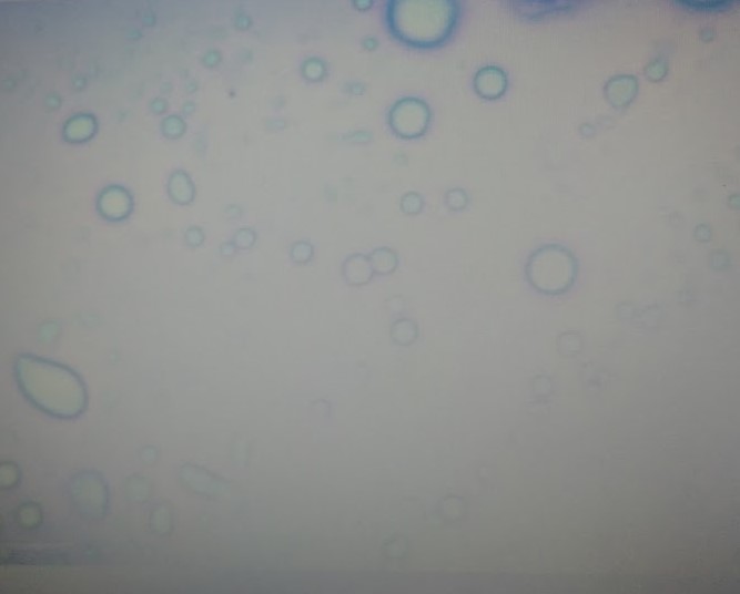 ijbm1023_figure3