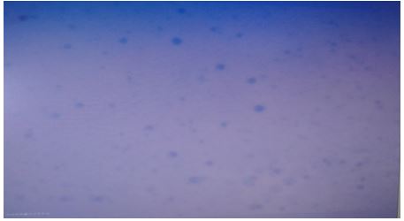 ijbm1023_figure_s5