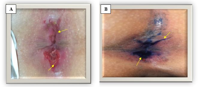 ijfs1007-figure10