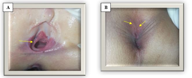 ijfs1007-figure9