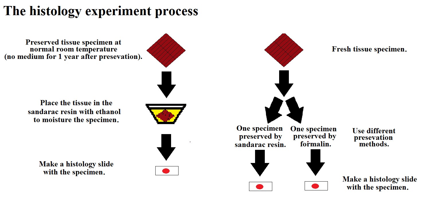 ijfs1013_figure6