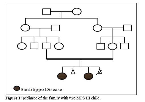 ijgmgt1003-figure1