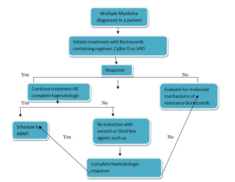 ijho1004-figure1