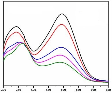 ijho1013_figure1