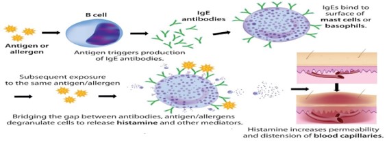 ijia1001-figure1