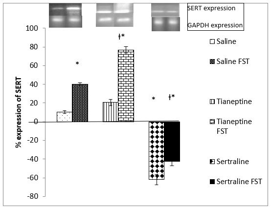 ijpmh1010_figure2