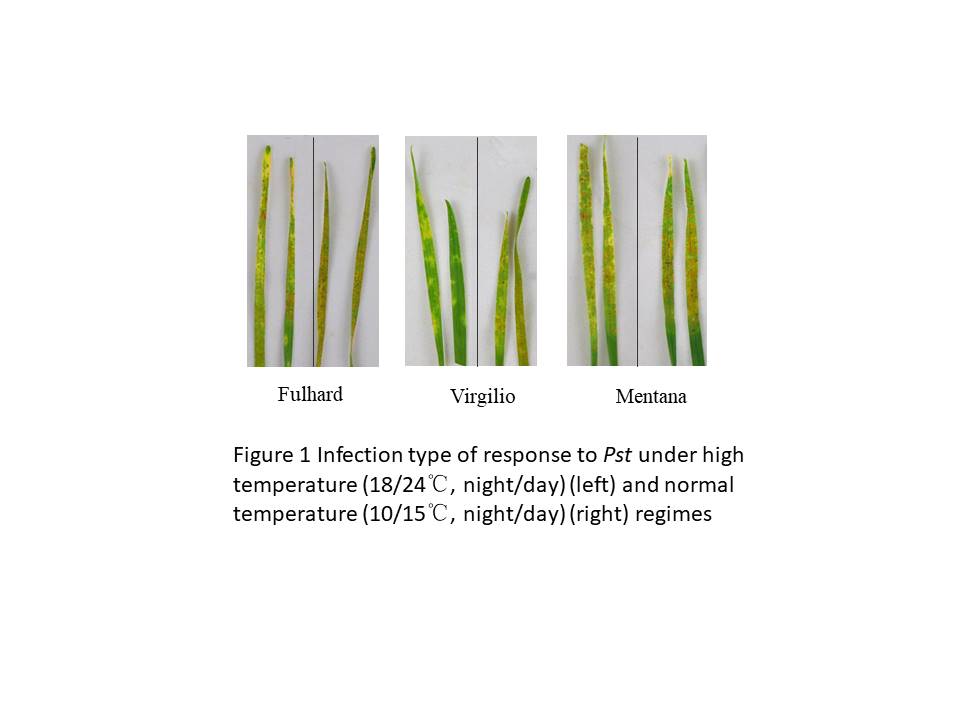 ijpsh0017-figure1
