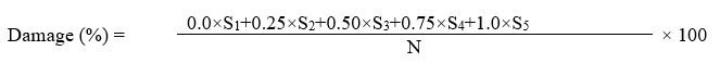 ijpsh1031_formula1