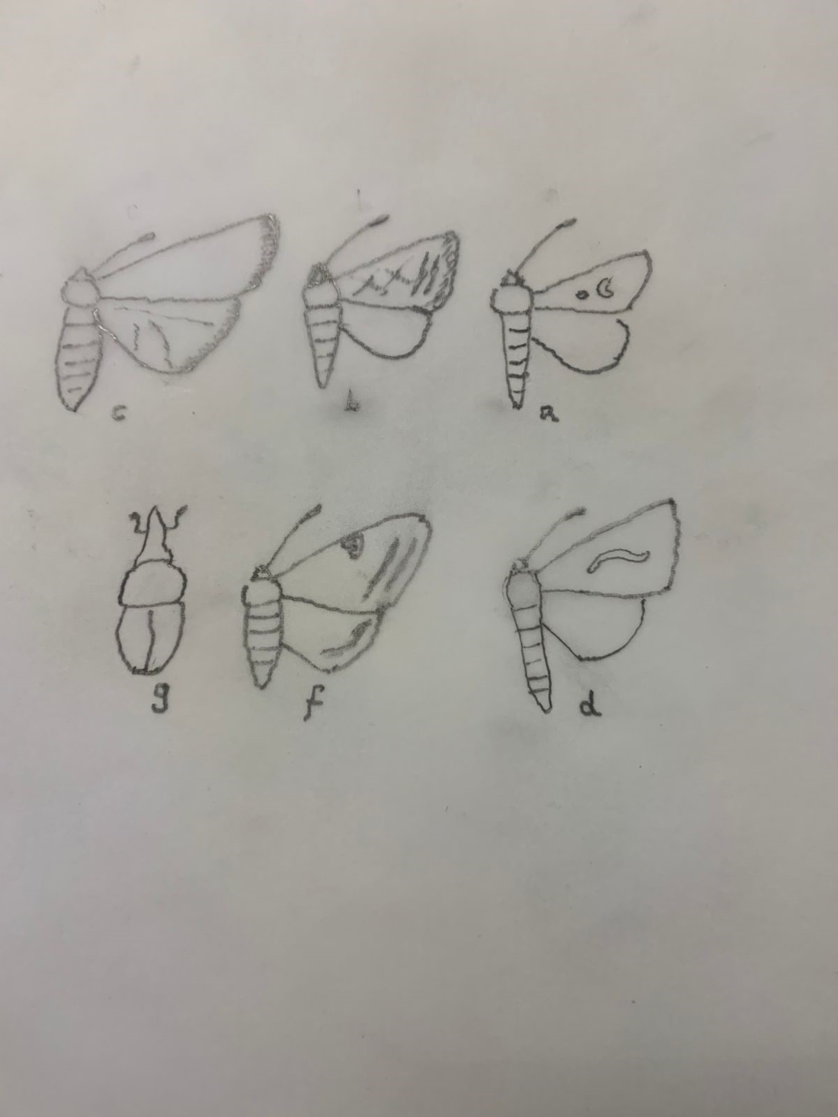 ijpsh1033_figure4