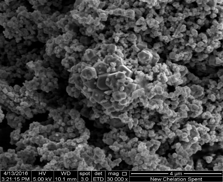 jca1001-figure2