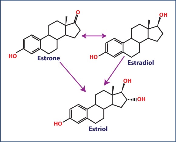 jca1007_figure2
