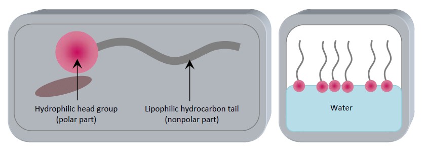 jca1008-figure5