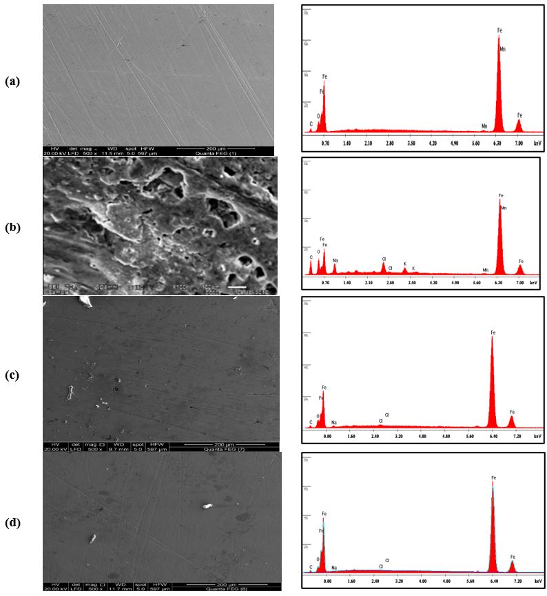 jca1009_figure6