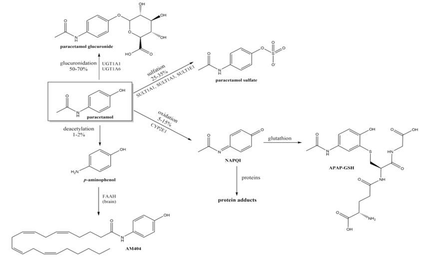jca1039_figure2