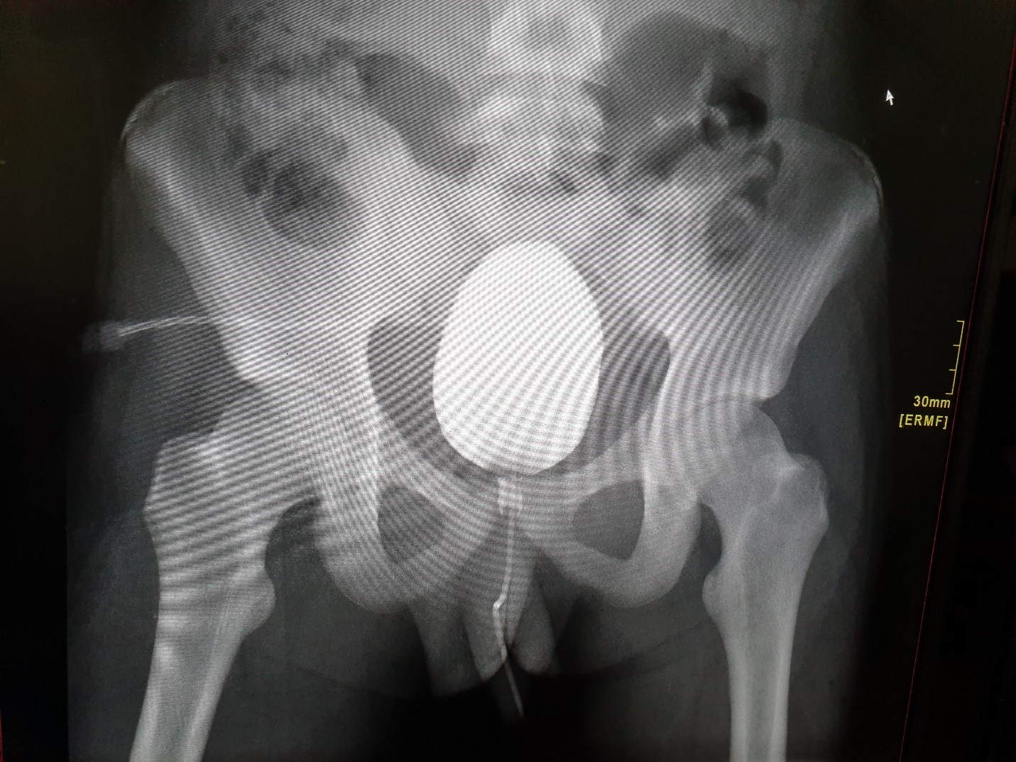 jcri1025_figure4