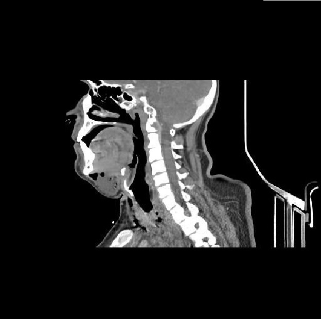 jcshd1015-figure5