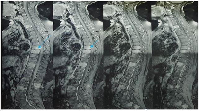 ojor1009_figure4