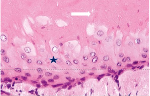 ojor1011_figure2