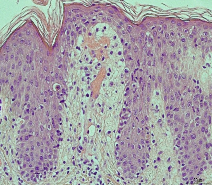 ojprm1003-figure4