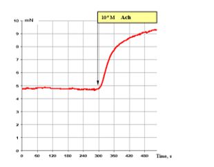 ojprm1004-figure1