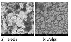ojpsr1008-figure1