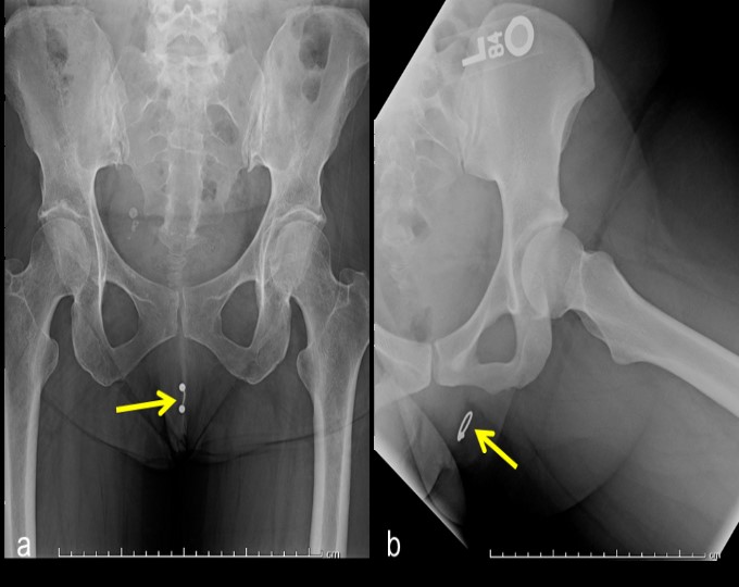 ojrmi1002-figure1