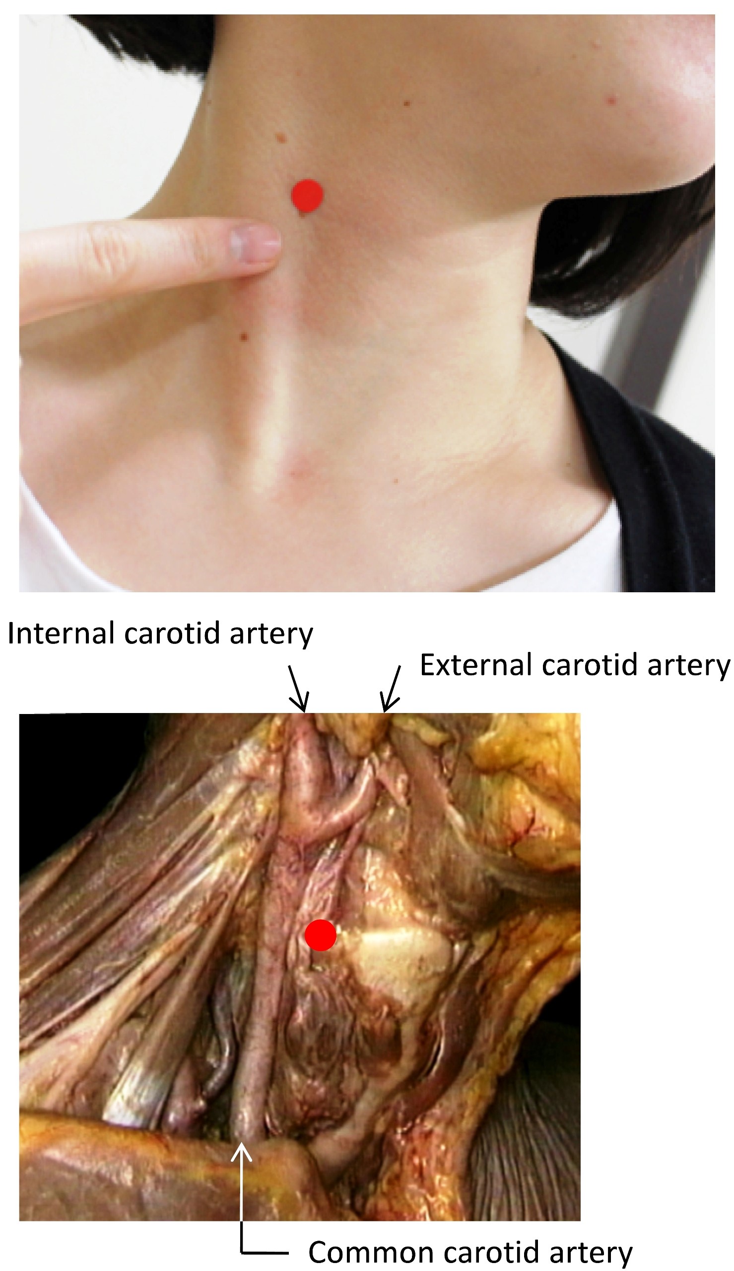 ojrmi1003-figure1