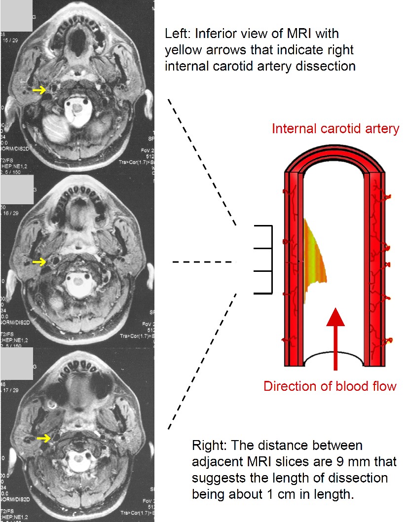 ojrmi1003-figure3