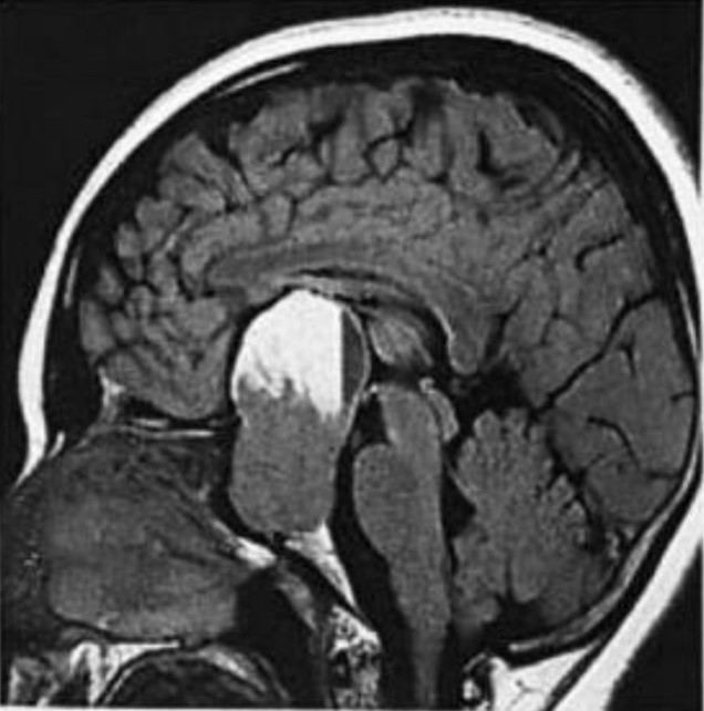 ojrmi1005-figure2