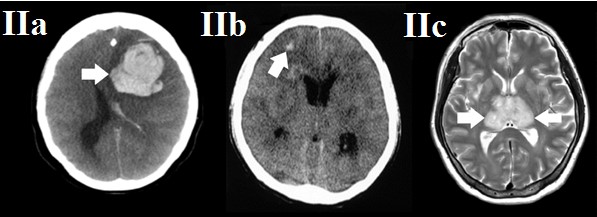 ojrmi1009-figure2