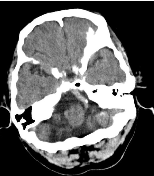ojrmi1011-figure3