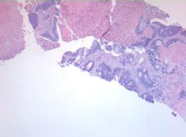 ojrmi1013_figure 4