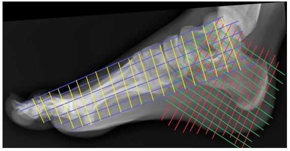 ojrmi1046_figure23