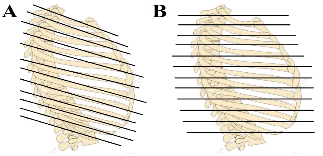 ojrmi1046_figure5